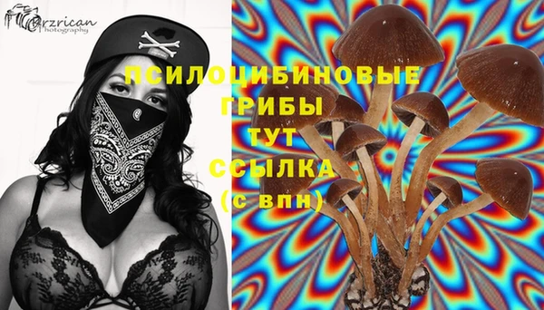 хмурый Абдулино